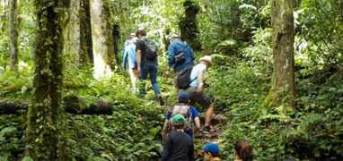 Boquete Cloud Forest Hike + Gulf of Chiriqui Snorkel