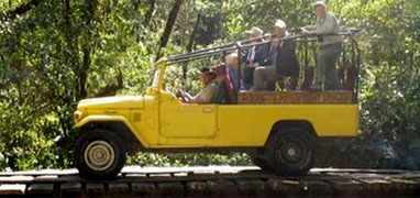 Cloud Forest & Coffee Jeep Safari