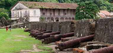 Tropical Cross-Country Safari